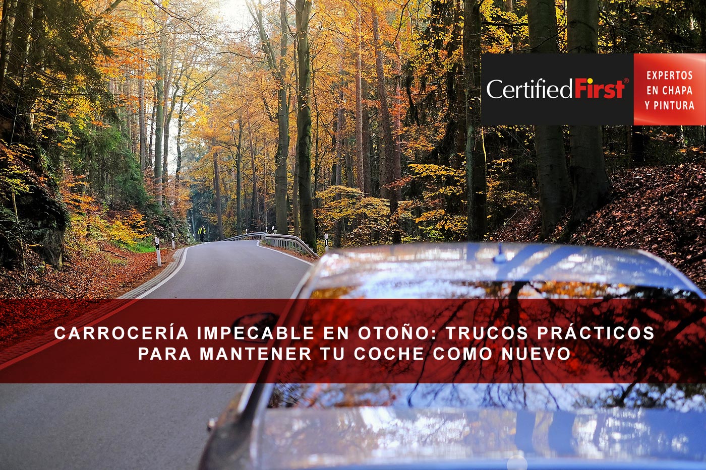Carrocería impecable en otoño: trucos prácticos para mantener tu coche como nuevo