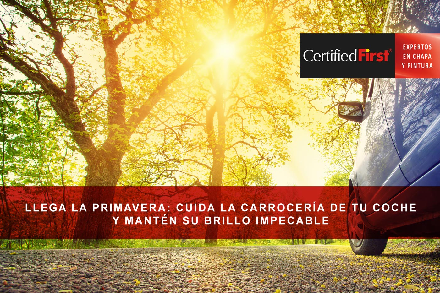 Llega la primavera: cuida la carrocería de tu coche y mantén su brillo impecable