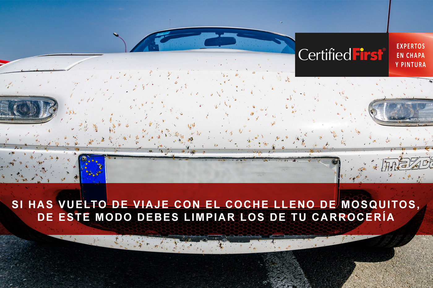 Si has vuelto de viaje con el coche lleno de mosquitos, de este modo debes limpiar los de tu carrocería