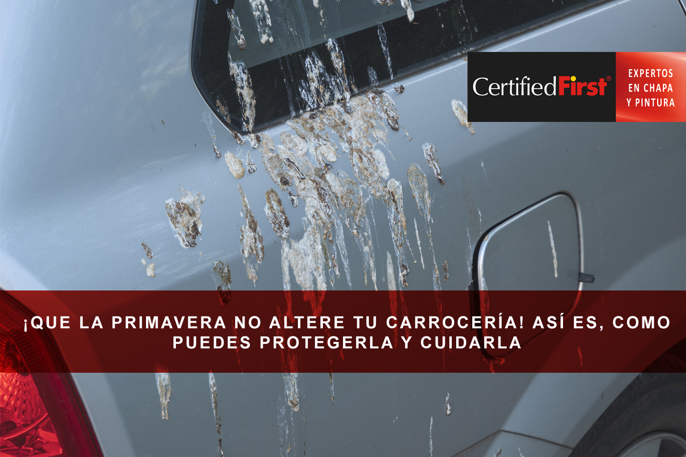 ¡Que la primavera no altere a tu carrocería! Así es como puedes cuidarla y protegerla